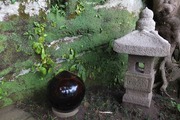 DSCF5059_R