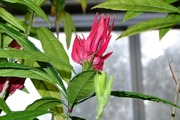 DSCF9059_R