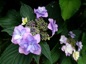DSC00829_R