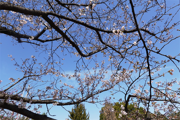 DSC06170_R