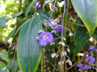 DSCF9227_R