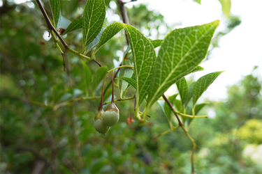 DSC08357_R