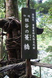 DSC09400_R