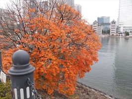 DSCF6056_R
