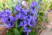 DSCF1726_R