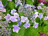 DSCF2408_R