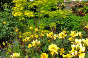DSCF3028_R