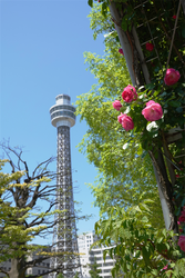 DSC07189_R