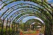 DSCF2428_R