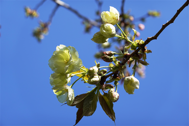 DSC06364_R