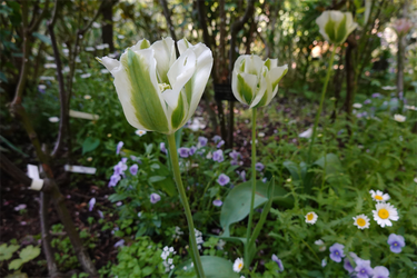 DSC06738_R