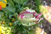DSCF2476_R