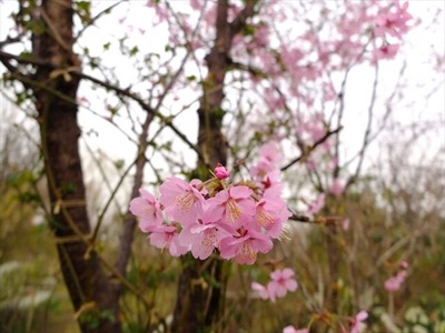 DSCF1464_R