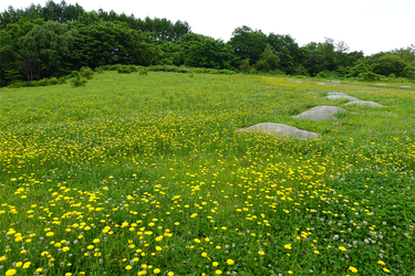 DSC02383_R