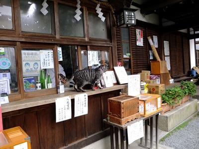 DSCF9589_R