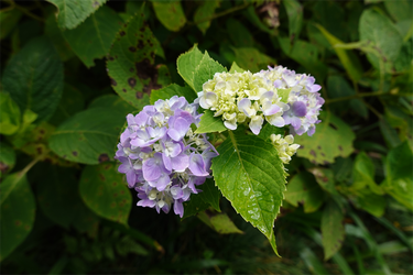 DSC09122_R