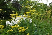 DSCF4046_R