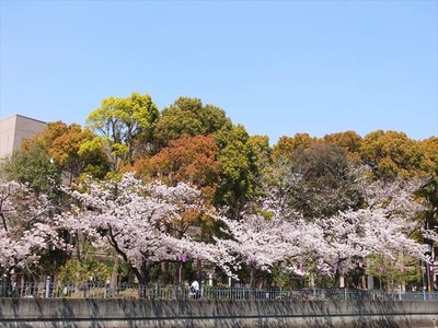 DSCF8243_R