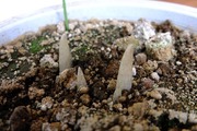 DSCF0063_R