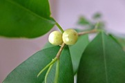 DSCF6884_R