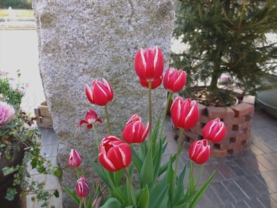 DSCF4124_R