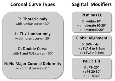 SRS-Schwab_classification_pdf（2___6ページ）