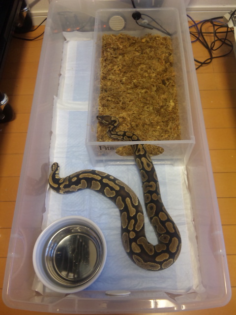 About An Egg Spiral Blog