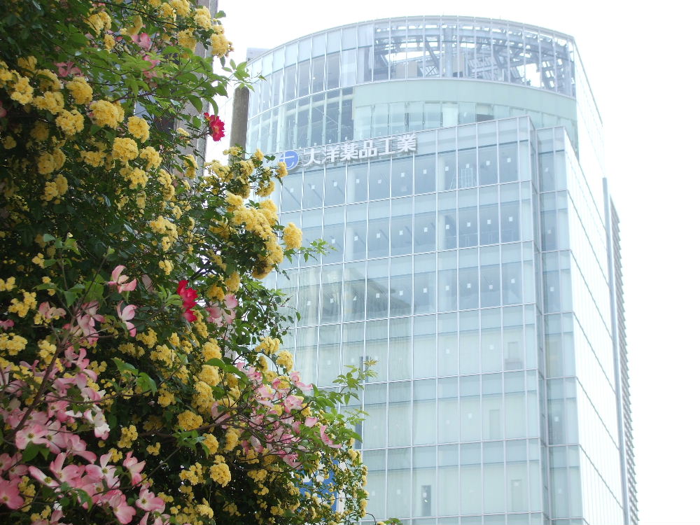 大洋薬品工業新本社のできるまで 8 名古屋界隈諸々のできるまで