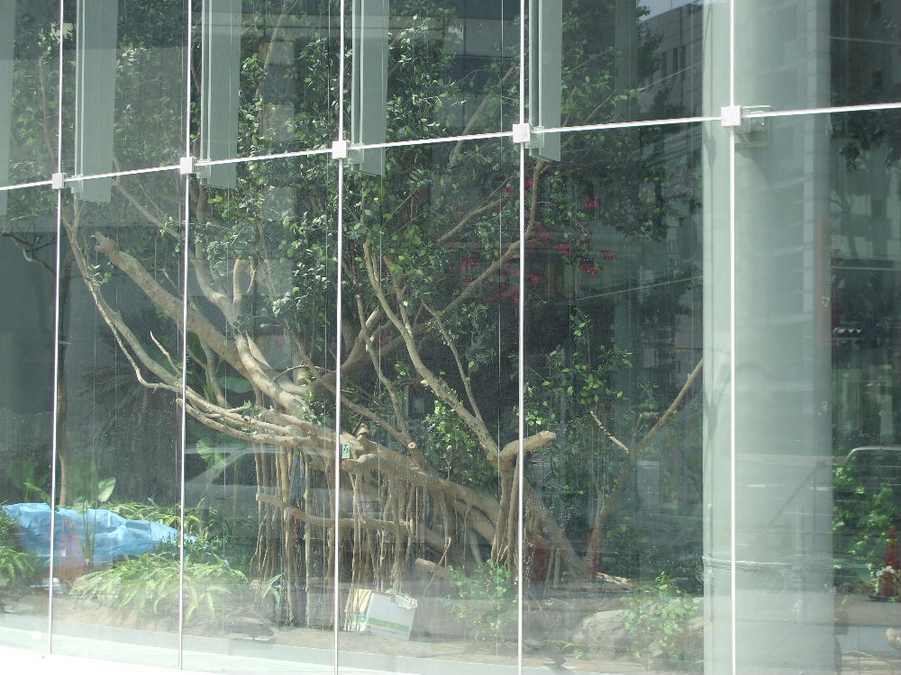 大洋薬品工業新本社のできるまで 9 名古屋界隈諸々のできるまで