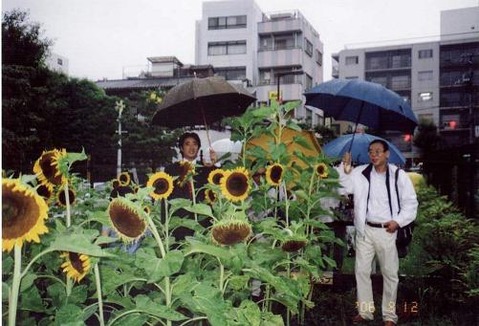 2006himawari3