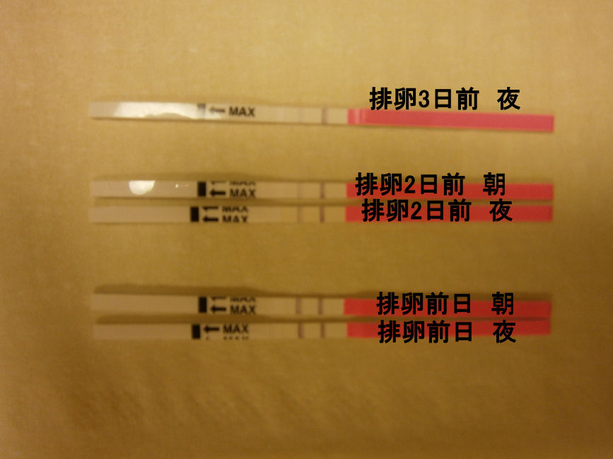 排卵検査薬 中国製 使ってみた Ecloudshop30排卵予測 10妊娠初期のテストストリップ アラサー兼業主婦の妊活と糖質オフダイエット