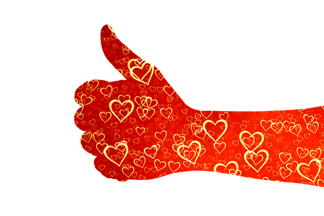 星野源 いのちの車窓から 感想 レビュー 電車で読めない爆笑 感涙エッセイ集 スピタメウォッチング