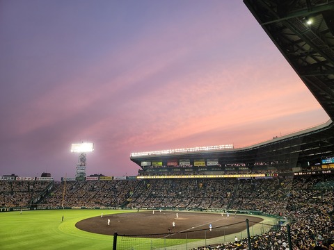 20220617_192124.jpg