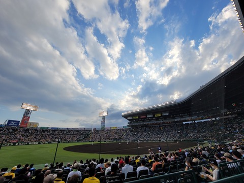 20220624_180858.jpg