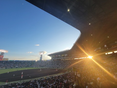 20220706_184818.jpg