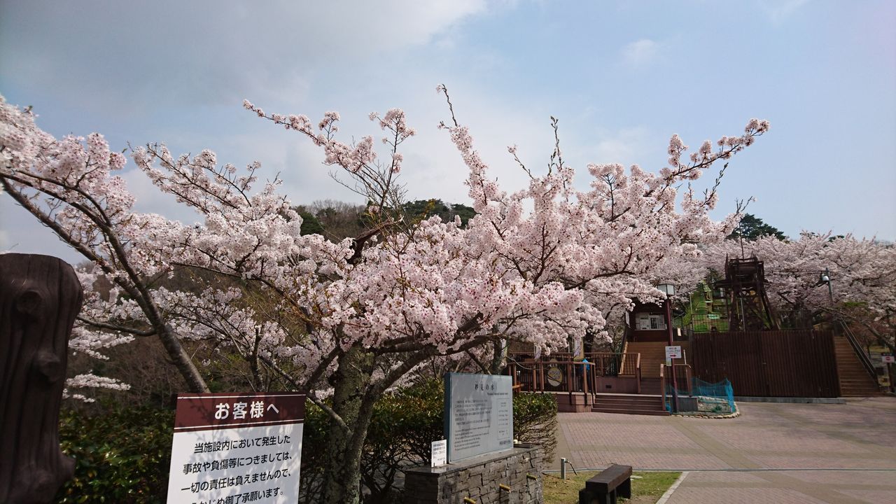 妙見山トレッキング お花見bbq 前編 有 英富士スピティ新築住宅ブログ