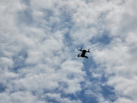 20220717_133226.jpg