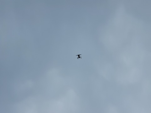 20220717_133018.jpg