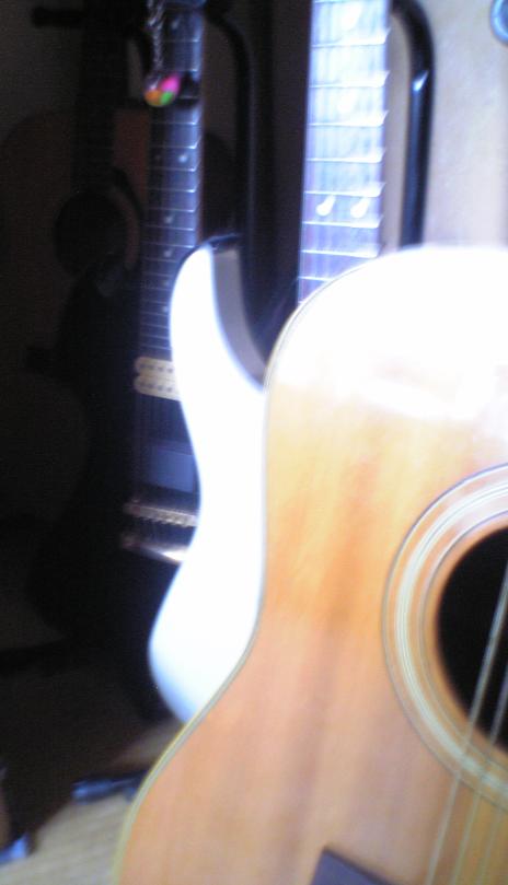 波にもまれ トビウオになれ スピッツとギターのブログ