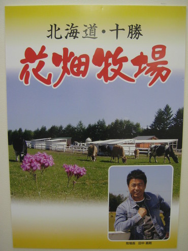 永利12