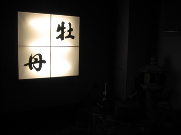 牡丹11