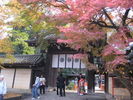 今宮神社1