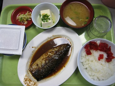 東京税関晴海出張所食堂5