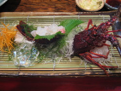 伊勢海老お造り