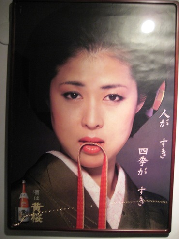 ��ﻰ����13