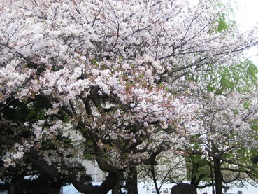 �Ȥ���������3