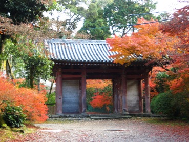 ��ﻰ����4