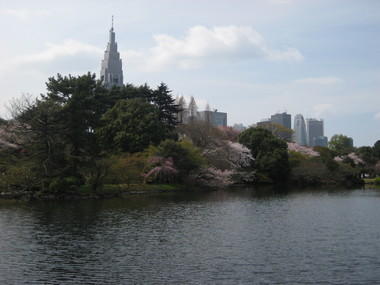 新宿御苑1