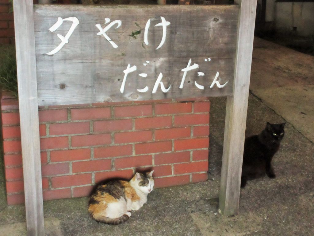 谷中 一寸亭 5th 下町っ子の上の空