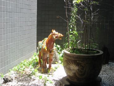 豫園7
